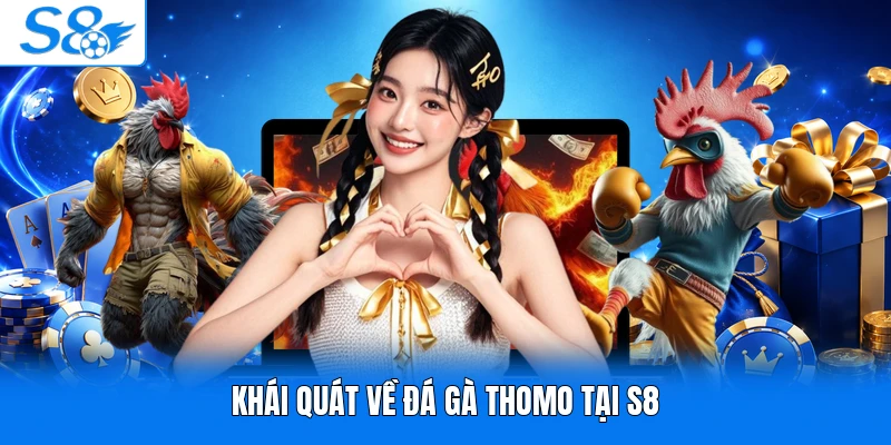 Khái quát về đá gà Thomo tại S8